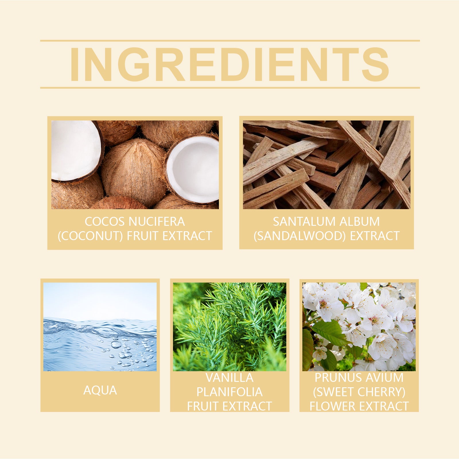 Vanilla Coconut Fragrance Body Spray