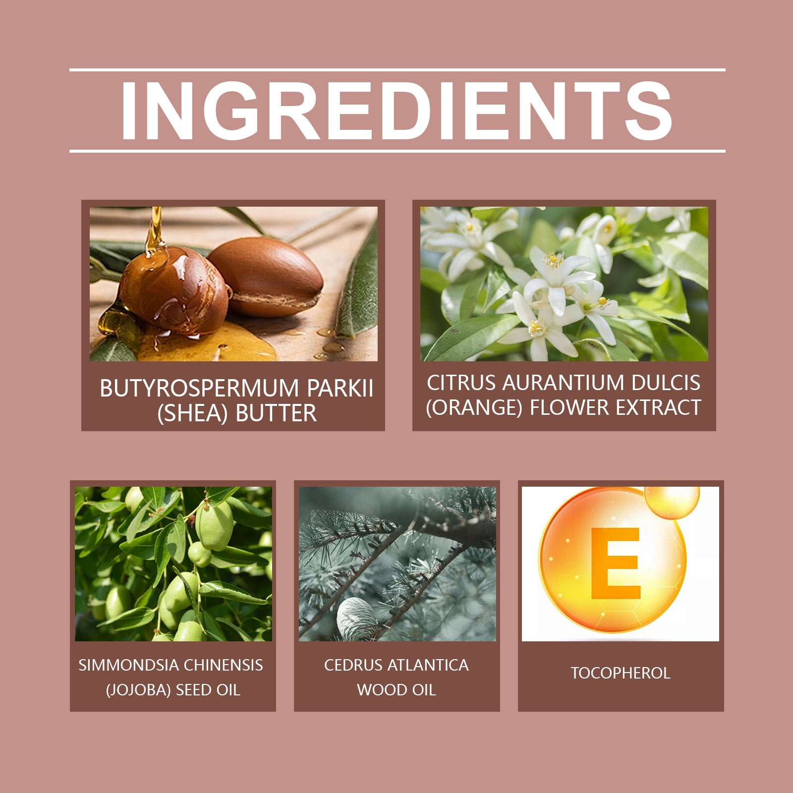 Cologne-Scented Hydrating Body Moisturizer